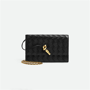 bottega veneta andiamo pouch on chain #844107